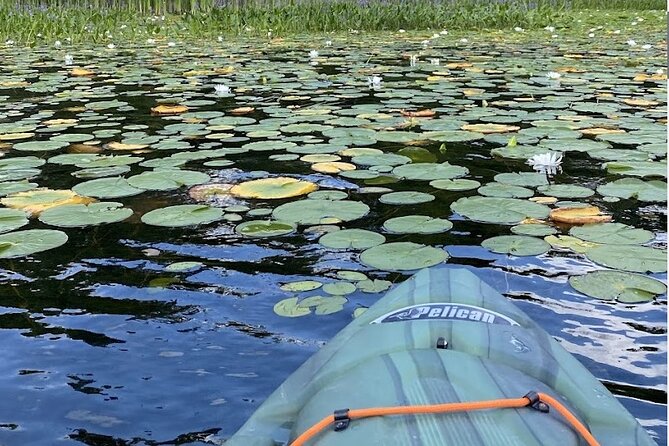 24-48 Hour Kayak Rental in Marmora, Ontario - Accessibility and Participation
