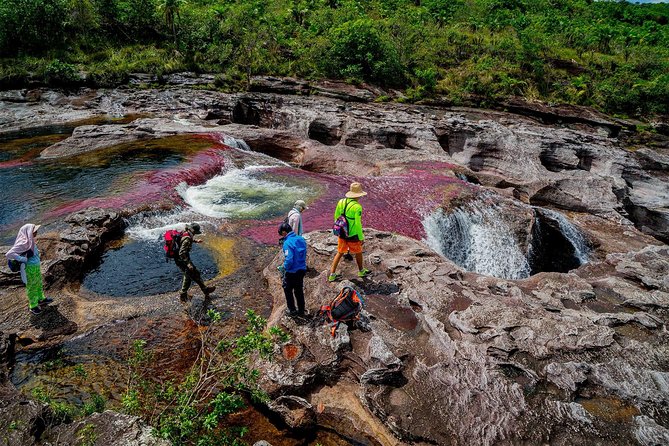 3-Day Caño Cristales (Rainbow River) From Bogotá - Highlights of the Full Day at Caño Cristales