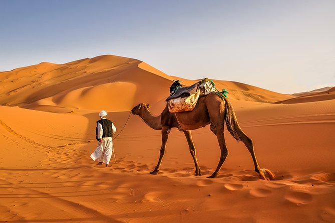 3-Day Desert Tour Marrakech to Fes via Merzouga - Day 2 Highlights