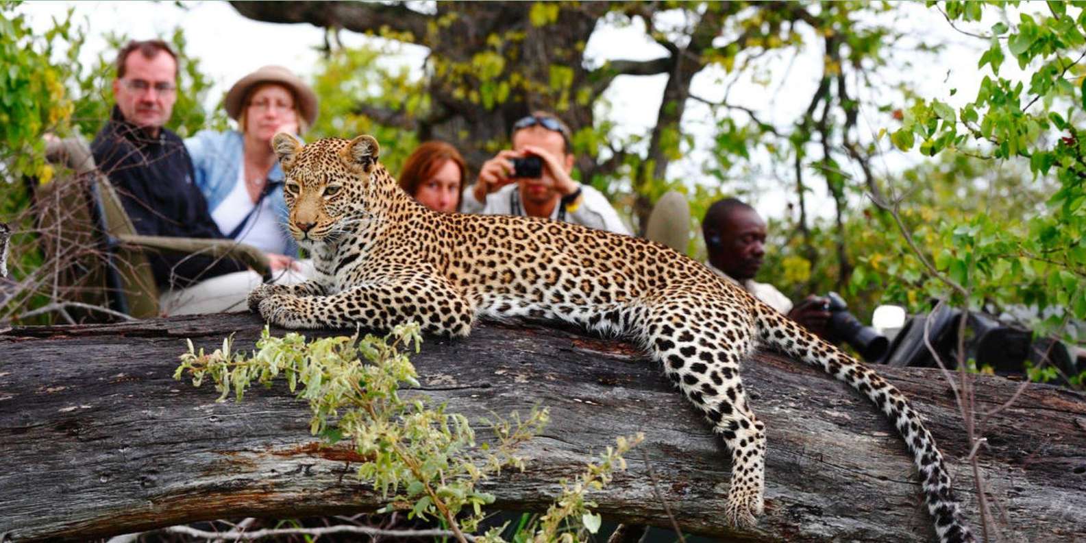 3 Day Garden Route Private Safari From Cape Town - Included Experiences