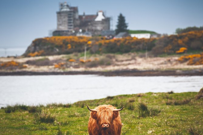 3-Day Isle of Mull and Iona Small-Group Tour From Glasgow - Optional Activities