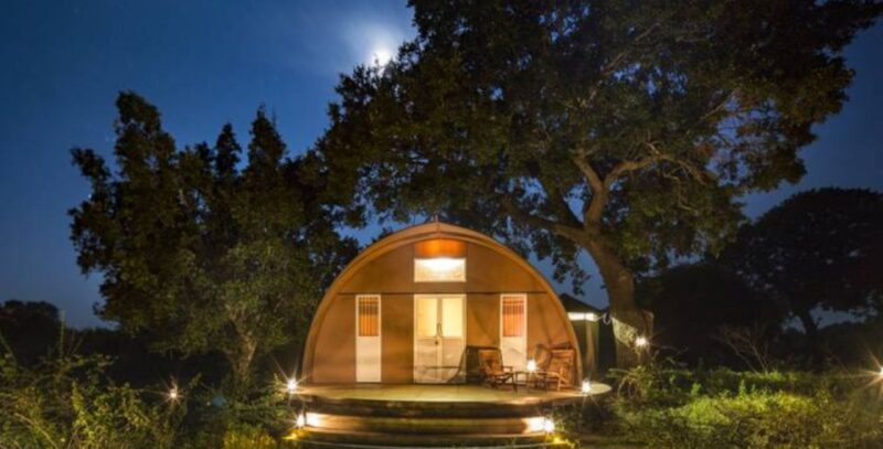 3-Day Luxury Glamping in Yala National Park - Pickup and Transfers