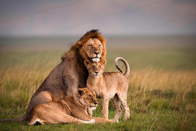 3-Day Maasai Mara Guided Safari From Nairobi - Cultural Immersion