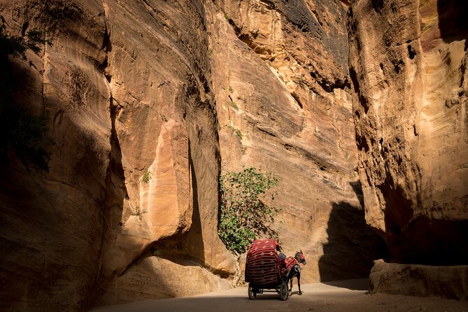 3-Day Petra and Wadi Rum Tour From Jerusalem - Day 3 Adventure