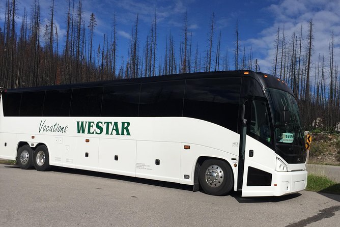 3 Day Rocky Mountains Columbia Icefields Banff and Yoho NP Tour - Health and Safety Guidelines