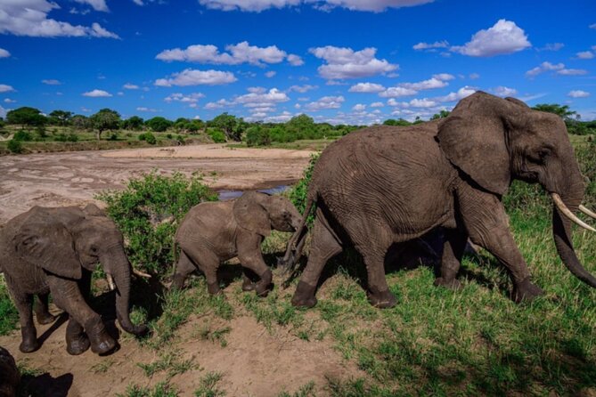3-Day Tarangire, Lake Manyara and Ngorongoro - Itinerary Breakdown