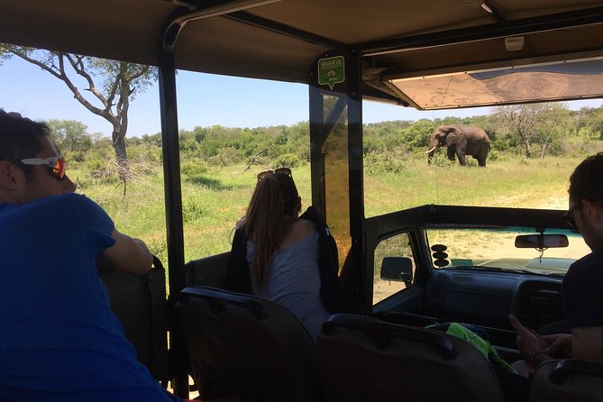 3-Day Tour of Kruger National Park From Skukuza Airport - Wildlife Sighting Highlights
