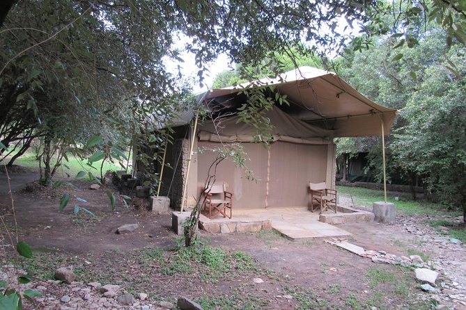 3 Days 2 Nights Masai Mara Best Short Tour - Day 2 Activities