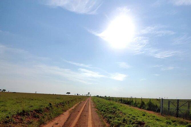 3 Days 2 Nights, Murchison Falls And Wildlife Safari - Tour Schedule