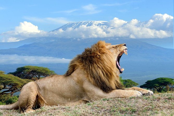 3 Days, 2 Nights Safari to Amboseli National Park From Nairobi - Inclusions