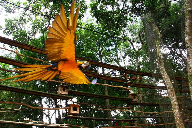 3 Days and 2 Nights 3 Stars Hotel Iguassu Falls - Private Tours - Sightseeing in Foz Do Iguacu