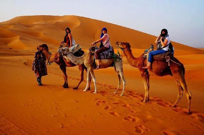 3 Days Desert Tour Fes to Marrakech With 2 Nights in Merzouga - Traveler Considerations