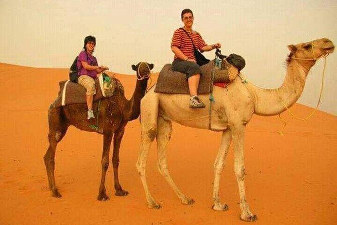 3 Days Luxury Desert Tour From Fes To Marrakech via Merzouga - Luxury Accommodations