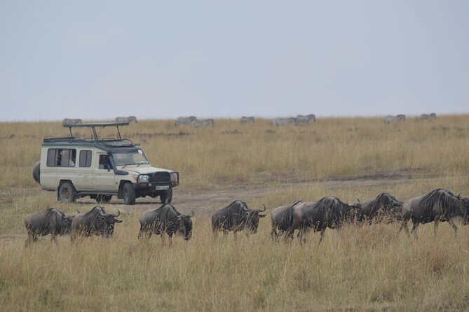 3-Days Masai Mara Rhythms Safari - Inclusions and Exclusions
