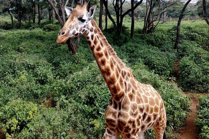 3 Days Masai Mara Safari Group Joining (Daily Departures) - Accommodation Details