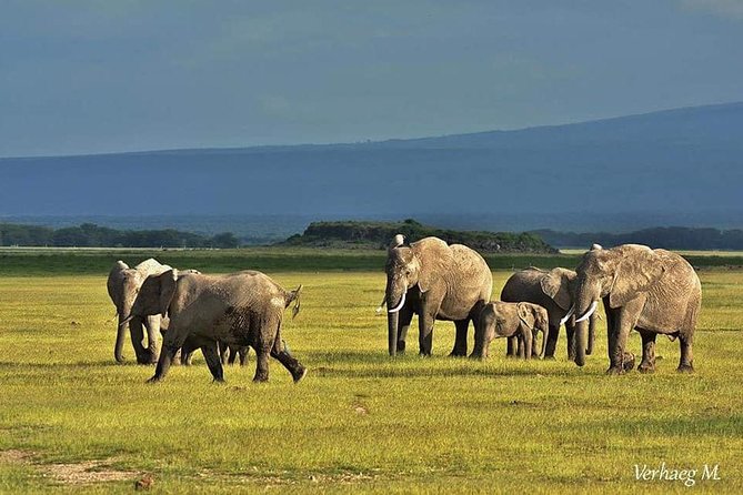 3 Days Safari Tsavo East and Amboseli National Park. - Accommodation and Meals