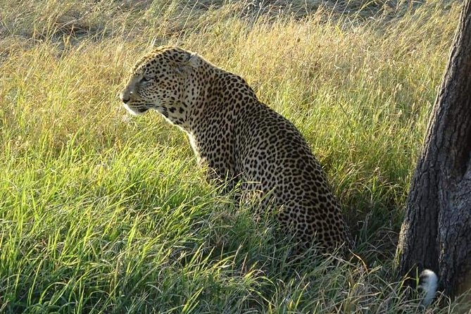3 Days Serengeti & Ngorongoro Tour - Meal Plan Overview