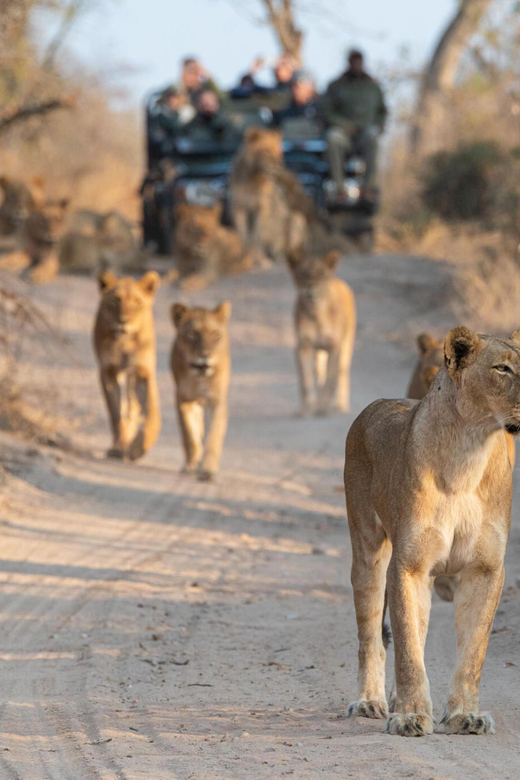 3 Hour Blue Canyon Private Reserve Game Drive - Game Watching From Safari Vehicle