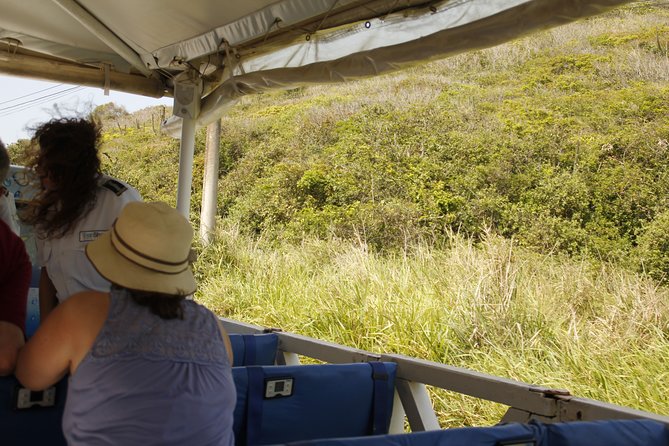 3-hour Small Group Buzios Peninsula Open Air Trolley Tour - What to Expect