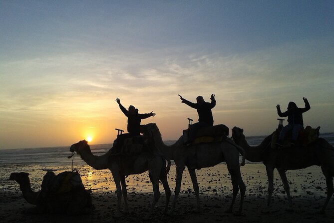 3 Hours Camel Ride in Essaouira, Beach and Dunes - Scenic Route Details
