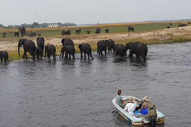 3 Hours Chobe River Boat Cruise - Customer Reviews
