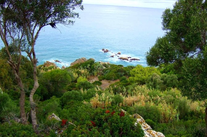 3 Hours Tangier Sightseeing & Camel Trek - Scenic Views of the Strait