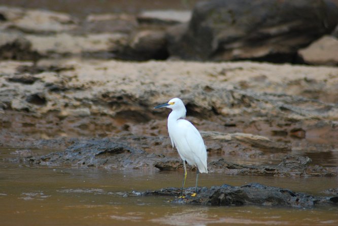 4-Day Amazon Jungle Tour at Eco Amazonia Lodge - Medicinal Plants