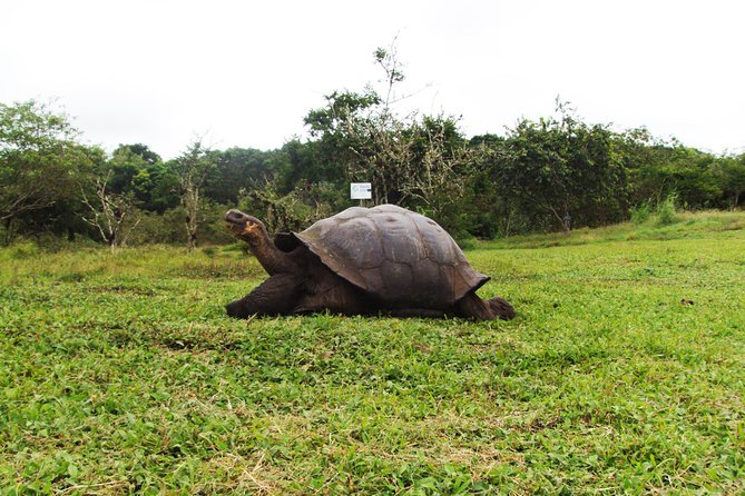 4-Day Galapagos Islands Express Tour - Discovering Seymour Islands Wonders
