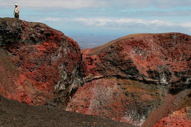 4-Day Galapagos Land Tour Visiting Isabela and Santa Cruz - Exploring Isabela Island