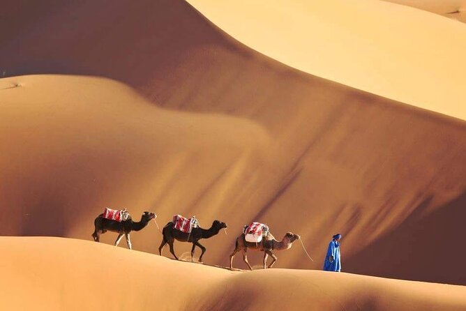 4 Day Sahara Desert Trip From Marrakech: Marrakesh - Sahara Desert - Marrakesh - Transportation Details