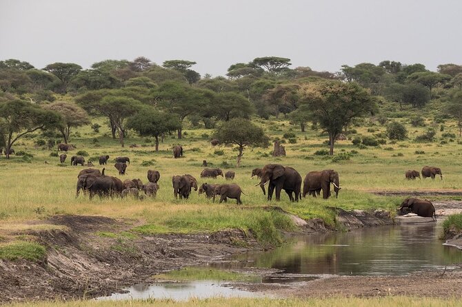 4-Day Serengeti, Ngorongoro, & Lake Manyara Budget Tour - Accommodations and Meals
