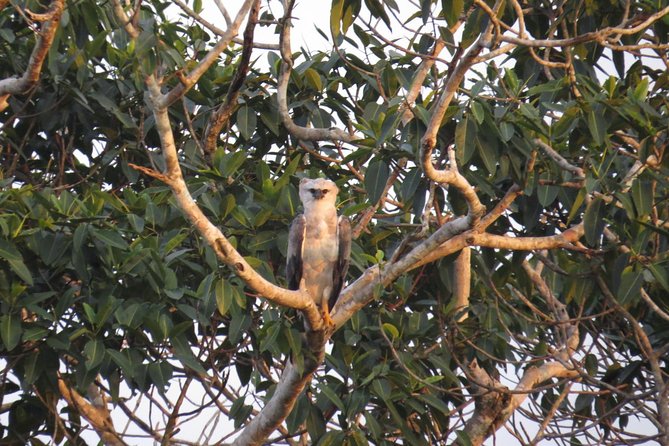 4-Day Trip: Cuyabeno Amazon Experience - Itinerary Details