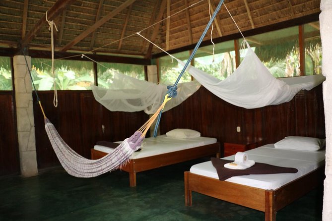 4 Days 3 Nights – Peruvian Tambopata Jungle - Pickup and Transportation