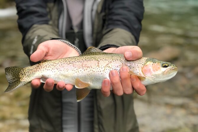 4 Days 3 Nights Trout Fly Fishing Trip in the Andes of Peru - Fishing Gear and Equipment
