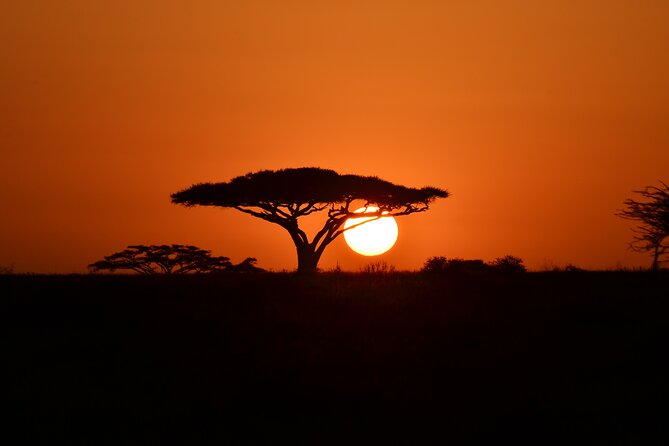 4 Days Adventure Camping Safari - Camping Experience