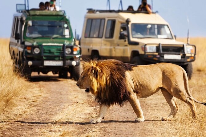4 Days Awesome Luxury Safari Tarangire Serengeti & Ngorongoro - Safari Inclusions