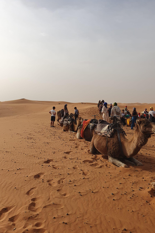 4 Days Desert Tour Ouarzazate to Marrakech With Camel & Quad