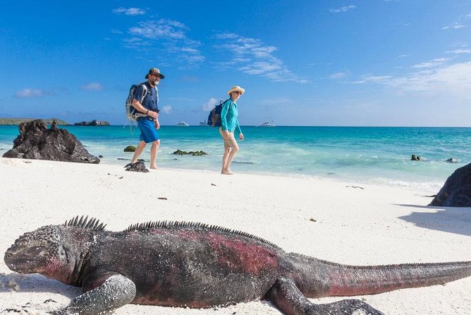 4 Days Galápagos - Isabela Islands and Santa Cruz - Pickup and Meeting