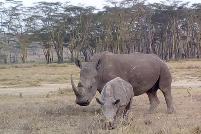 4 Days - Majestic Maasai Mara and Lake Nakuru Safari - Meal Plan