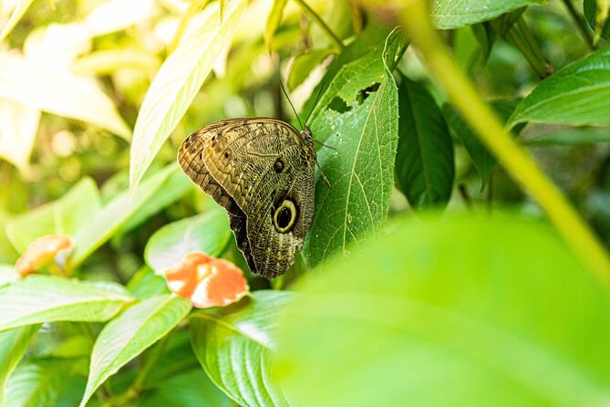 4 Days Tour to Tambopata National Reserve - Inclusions and Logistics