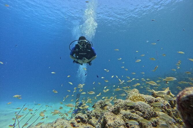 4 Hour Private Activity, Two Tank Diving in San Andres - Reviews