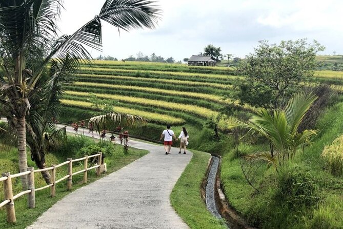4-Hour Private Tour in Jatiluwih Terraces and Butterfly Park - Tips for Travelers