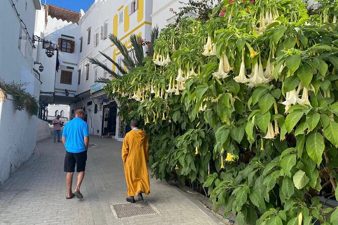 4 Hour Private Tour of Tangier - Inclusions and Amenities