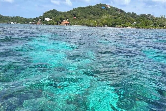 4-Hour Private Tour to Roatan Island - Customer Feedback