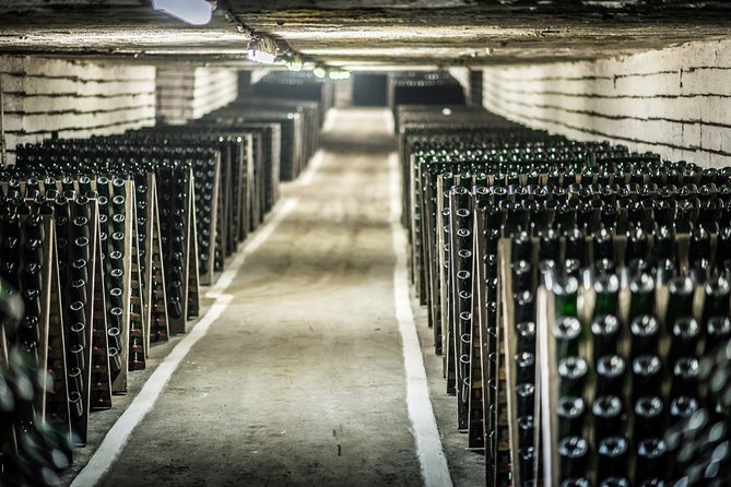 4 Hours Cricova Winery Tour With Tasting - Traveler Photos