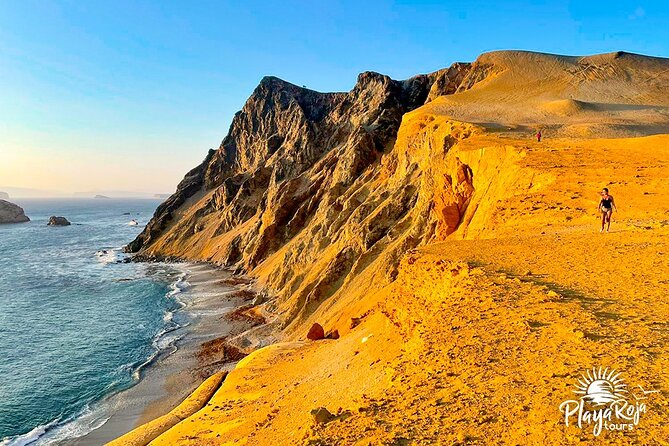 4 Hrs GOLDEN SHADOWS TREK in Paracas National Reserve - Guide and Fees