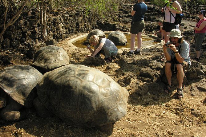 4- or 5-Day Galapagos Islands Explorer Package From Santa Cruz Island - Package Duration Options