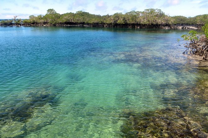 5-Day All-Inclusive Galapagos: Isabela and Santa Cruz Island - Sierra Negra Volcano Exploration