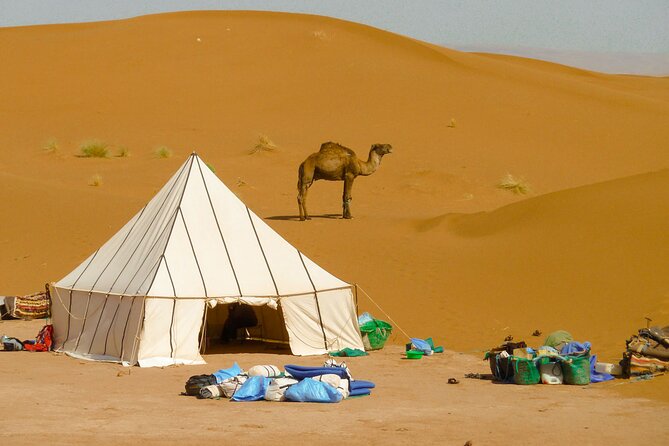 5-Day Desert Hiking Adventure From Merzouga - Meeting and Pickup Details