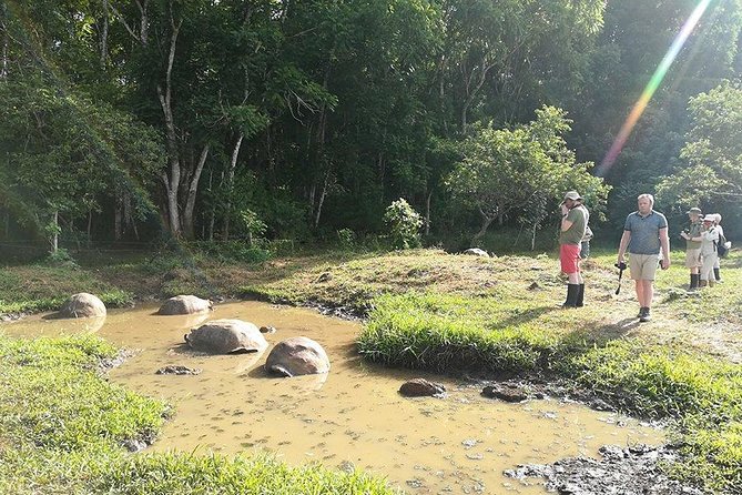 5-Day Guided Galapagos & Los Tuneles Tour - Guides and Activities